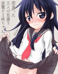 間違った大人の知識を披露する暁ちゃん