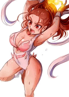 公式ガイドブックの
