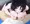 【GIFアニメ】パイズリしたままフェラ