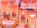 CG集を出しました。