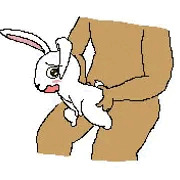 うさぎ