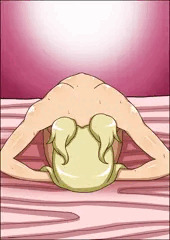 いつものやつ