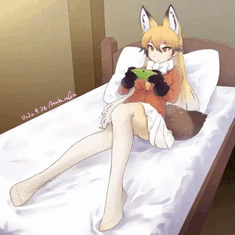 キタキツネ