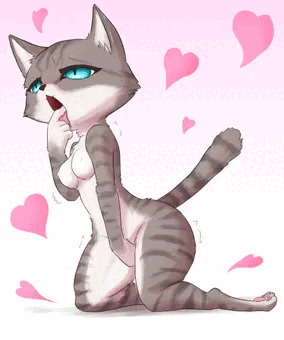 ハイになってるねこさん