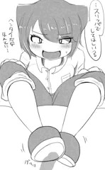 スリッパ・デ・スル