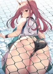 フェンス越しのブレマートン