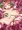 セラフィナイトちゃん