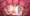 ハエの苗床になるちはるちゃん