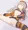 キャスティ・リアノイト