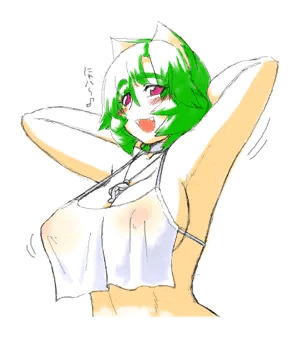 透け透けミニエプロン(？)