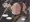 宣伝