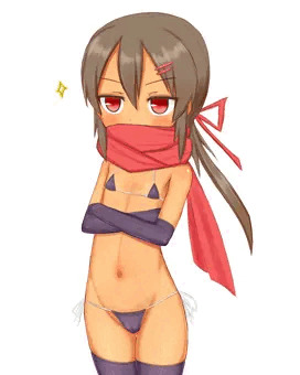 マイクロビキニニンジャ