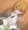 バランスボール石野ミコトさん
