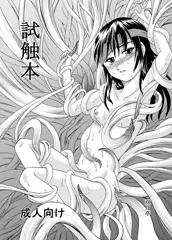 試触本