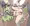 らくがき