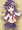 威嚇するあかつきん