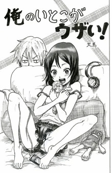 夏コミ手渡し用コピー誌・俺のいとこがウザい