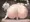 ボブキャット背面騎乗