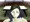 宗教勧誘してくるおばさんにフェラさせる