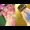 DQR-なんじゃくゆうしゃと おんなせんし-