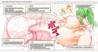 図解　女性器と母体化