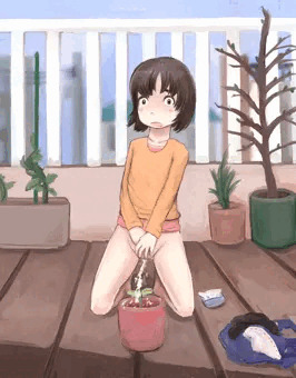 有機栽培