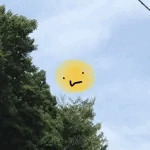 とりんぽらん