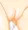 すじ