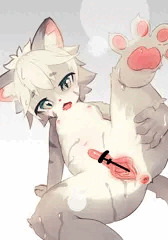 夢で見た