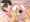 まるゆのおしり改装完了