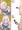 宇沢でNTRドレイクポスティング