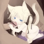 子猫にミルク