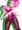 キュアブロッサムバニー