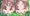 私たちの赤ちゃん作ってるところお兄ちゃんみないでぇっ