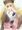 ひめちゃん