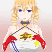 シカゴっぱい