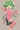 ドラコ