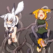 触手が堕としたのは金の狐娘ですかそれとも銀の狐娘ですか