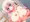 うちのこのおっぱいで