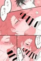 ｱｶｼﾌｪﾗ