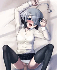 グレイちゃんかわいい