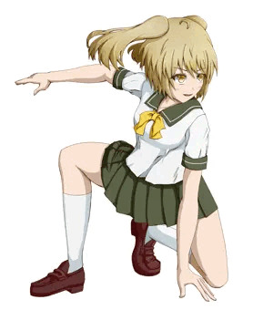 薬のこ