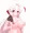 うちの子NF