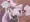 ロボエロ業界に求められているモノ！