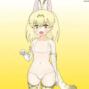 ホワイトサーバルマイクロビキニ部