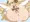 あにら