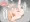 冬虫夏草寄生蟲姦(蜂)ココンちゃん