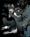 犬と猫