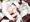 響ちゃんもちんちんでめろめろにする