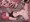ずぶ